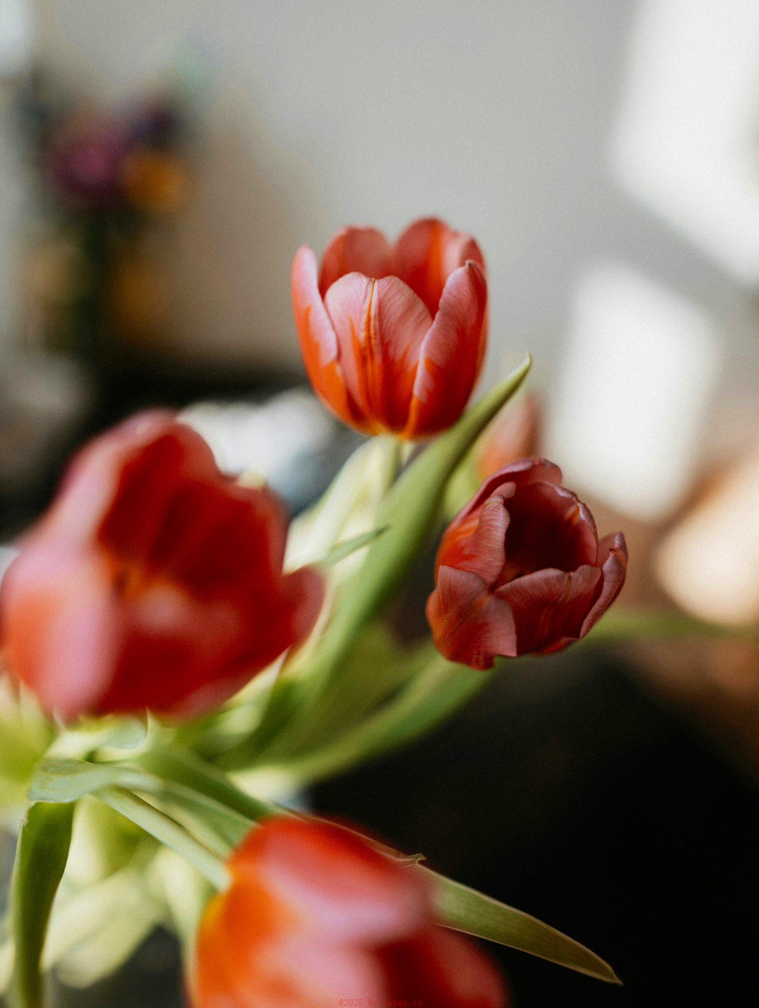 六大爱体位，试过才一生无憾