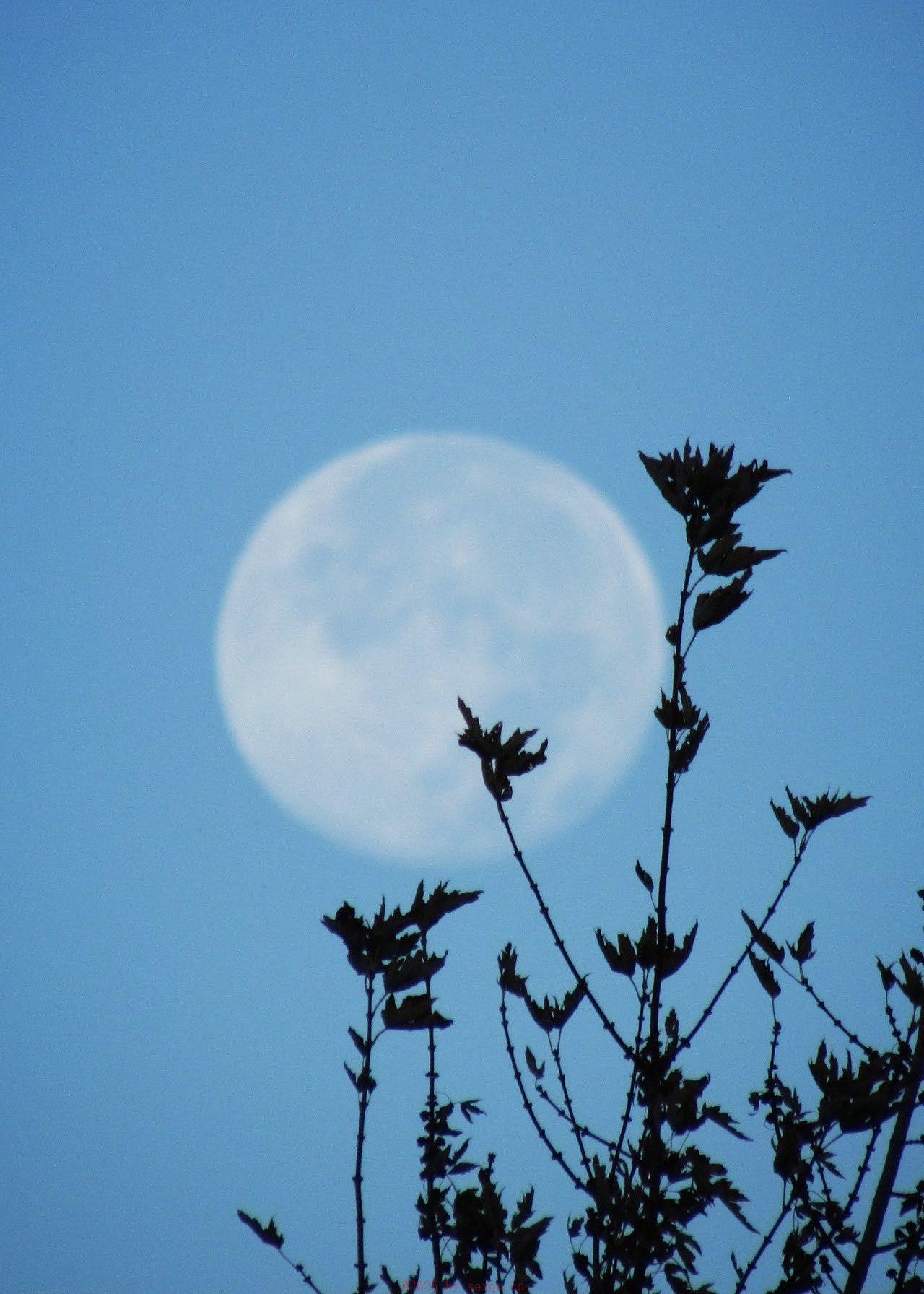 高潮流了好多水的技巧让你夜夜疯狂