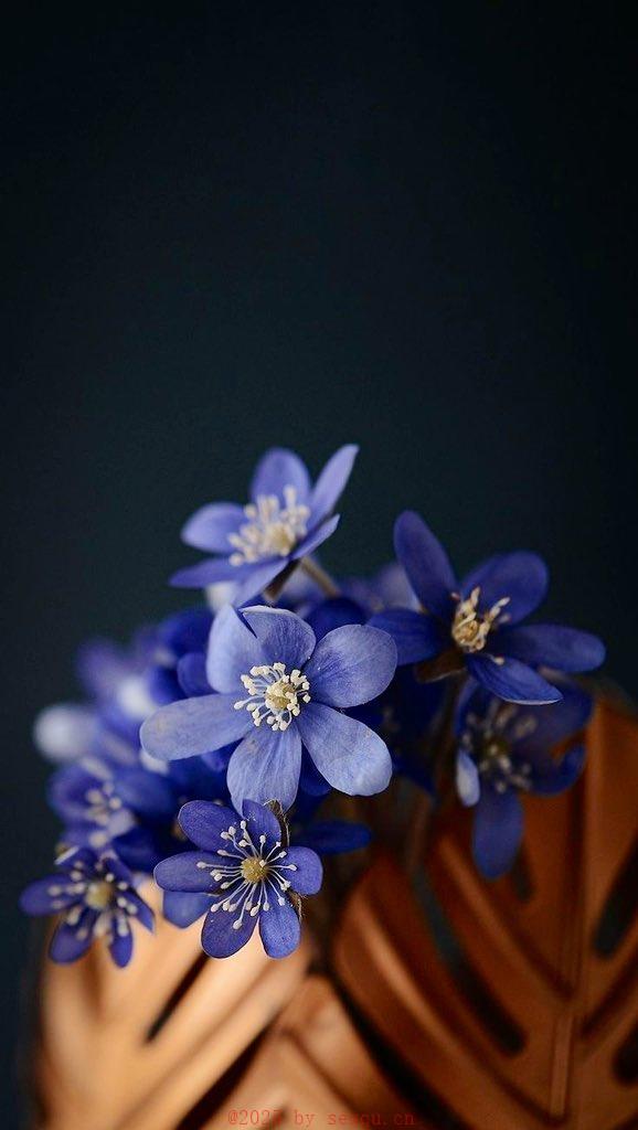 科学的性生活几天一次好