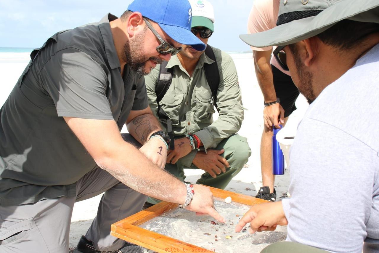 如何给浪漫之夜添增几分性欲望