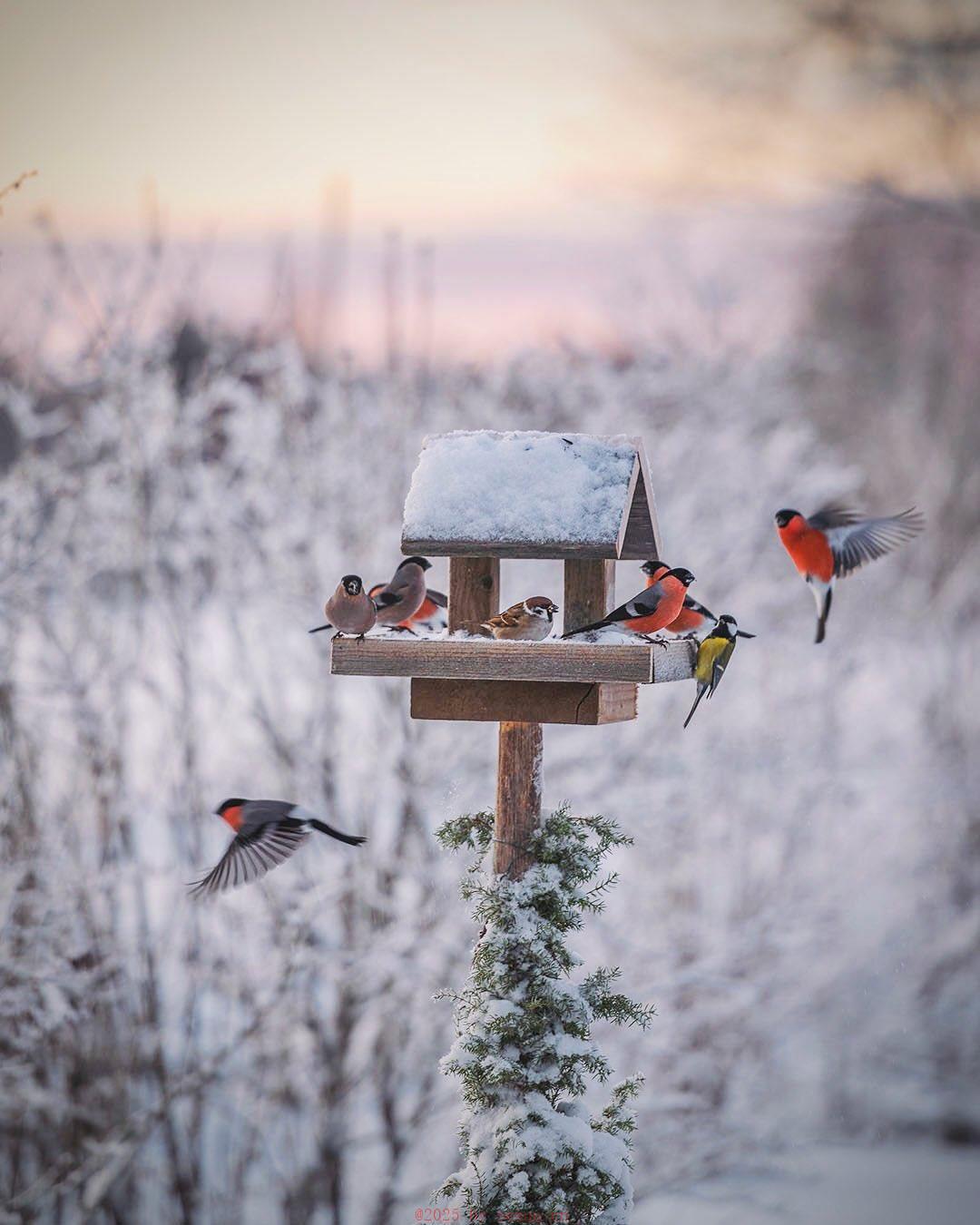延长射精能让女性多次高潮