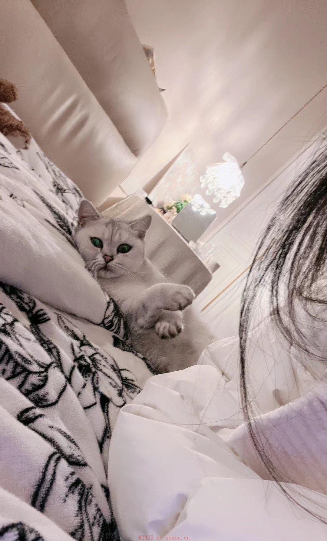 猥亵少女声称只是对女生身体好奇