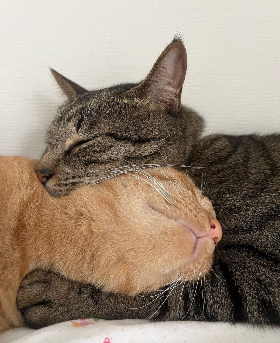 让生活更完美的卧室性爱技巧